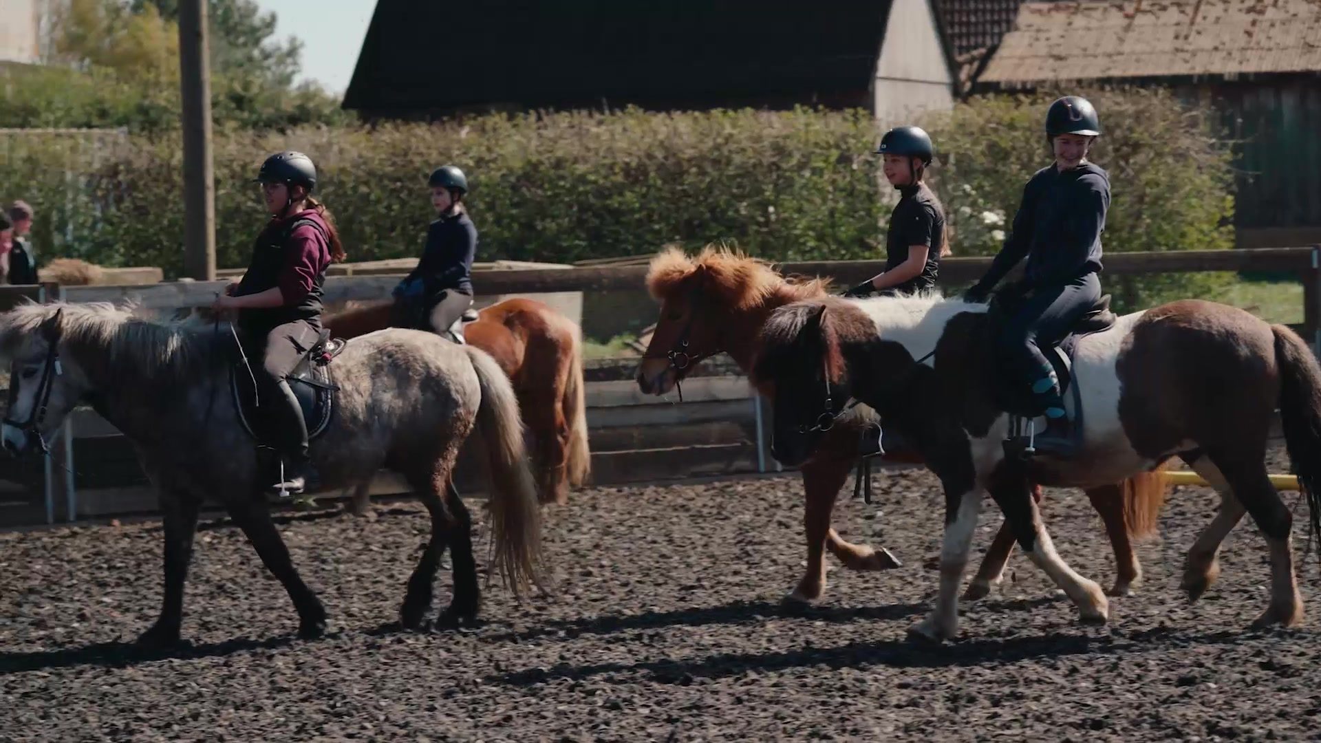 Kinder reiten auf Islandpferden über den Reitplatz